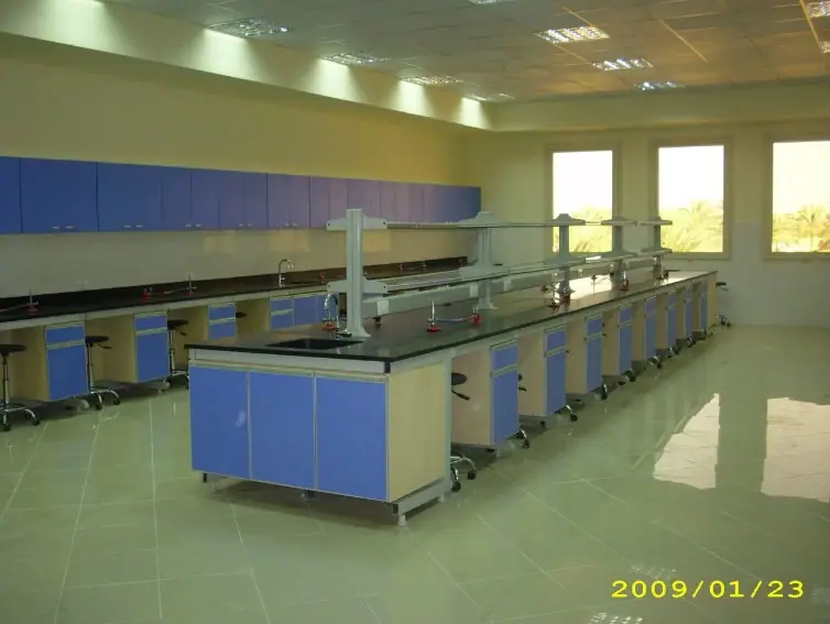 Sinai University — Faculty of Oral Medicine and Dentistry — Photo 8